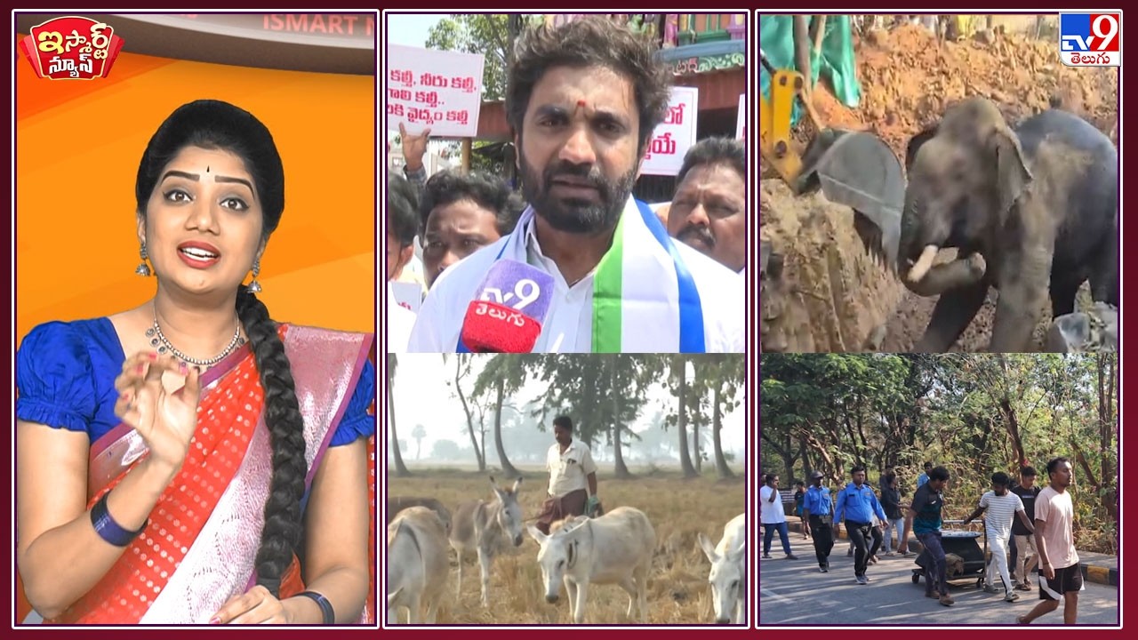 iSmart News : పాలు పారబోసిన భరతన్న !   | బావిలో పడ్డ ఏనుగు..కాపాడిన జేసీబీకి థ్యాంక్స్ ! - TV9