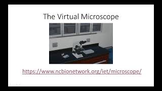 Lab Lesson #2 - January 27 Wealth