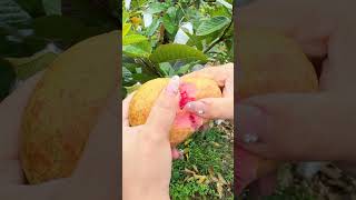 Wait until you see the inside🍐🍒🍊🍉🍍🍅#fruit #vegetables #mango #farming