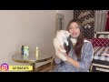 Pet friendly perfumes |how to use on cats | catsbae pet information