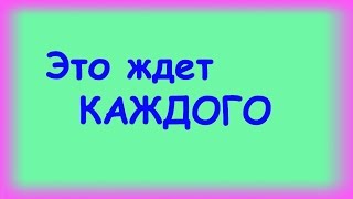 К чему снятся котята К чему снятся котята