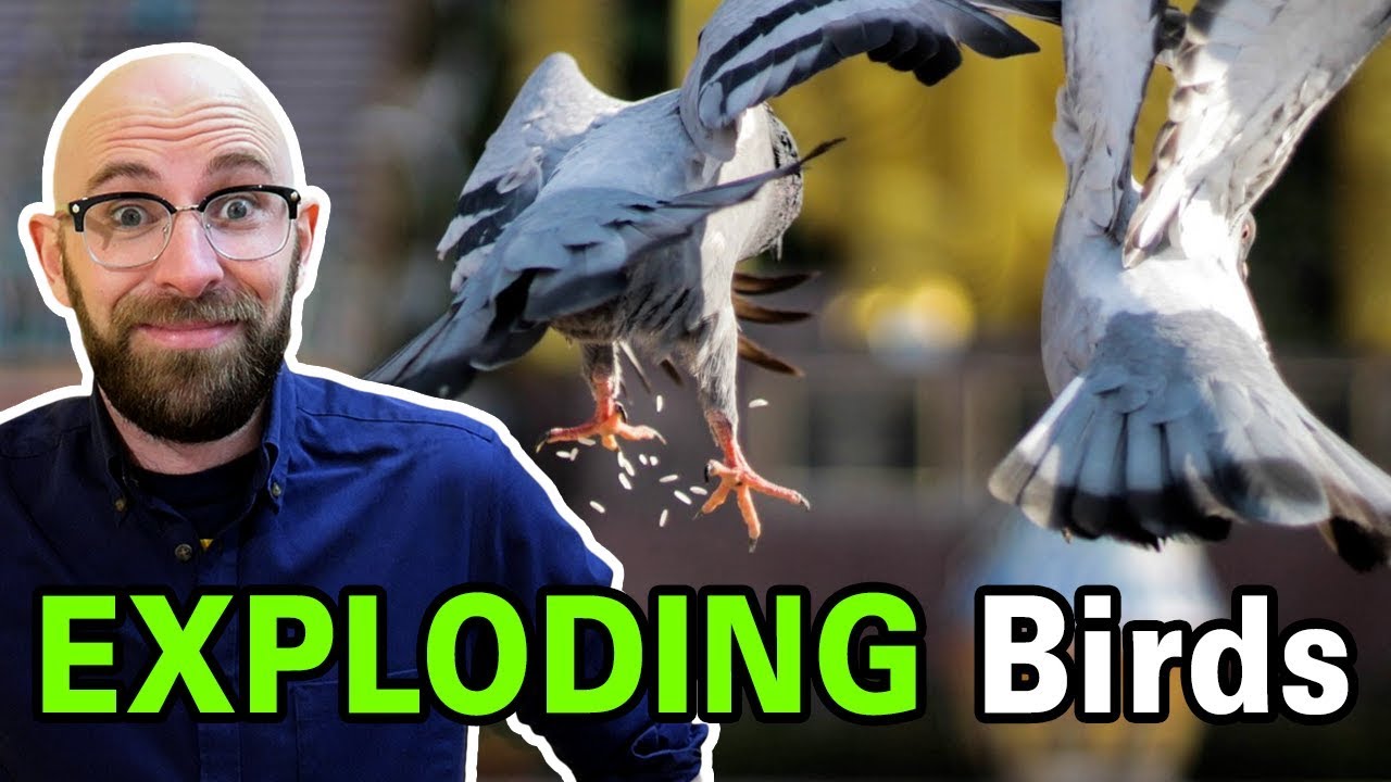 How To Make Birds Explode