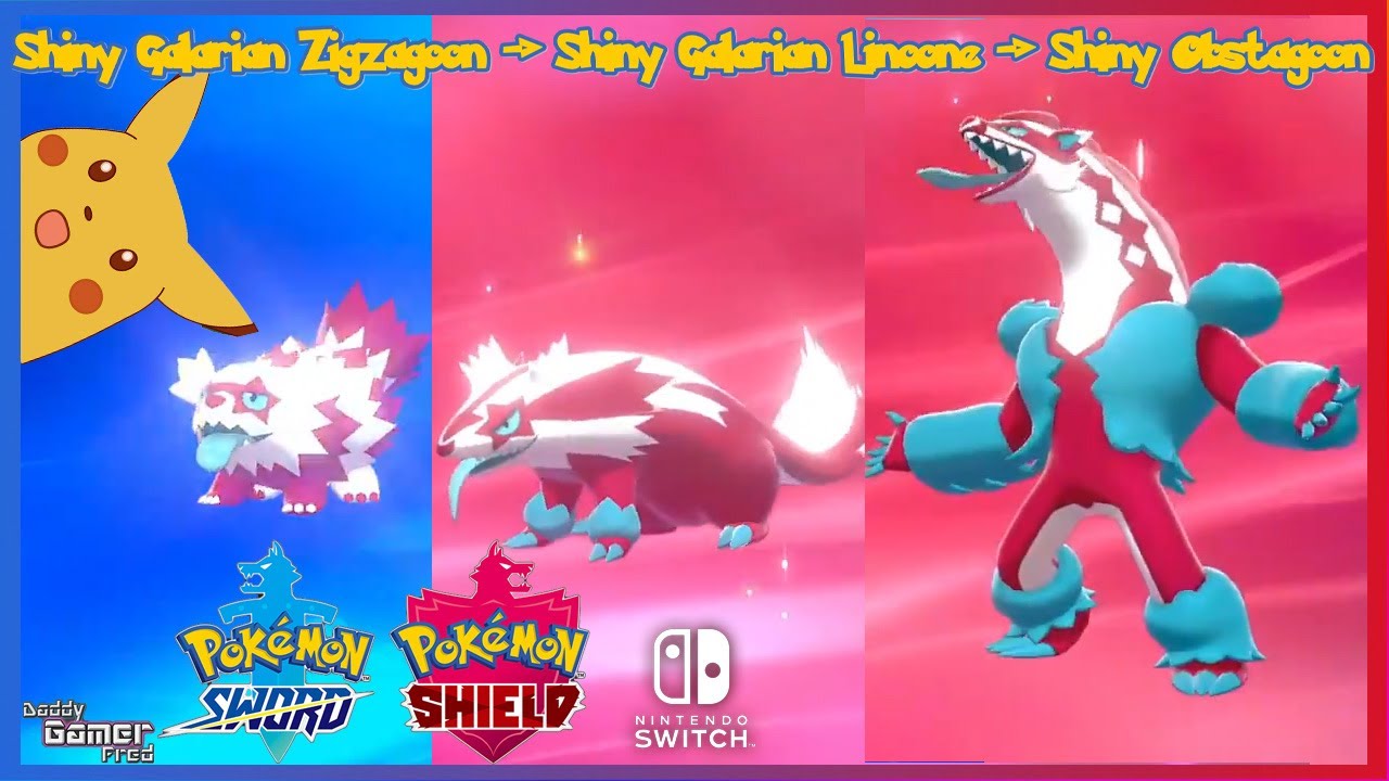 Shiny Galarian Zigzagoon Evolutionary Line Shiny Galarian Linoone And Shiny Obstagoon Youtube