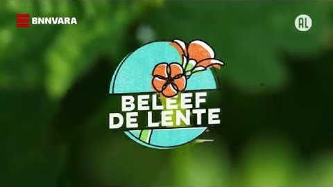 Vroege Vogels TV  - Beleef de Lente hoogtepunten