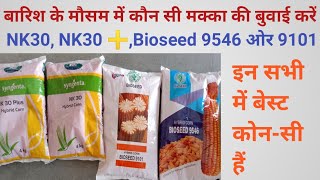 मक्का की बेस्ट वैरायटी कौन सी है//SYNZENTA NK30 || SYNZENTA NK30 ➕ || BIOSEED 4595 || BIOSEED 9101