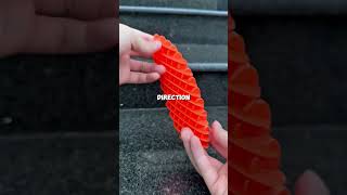 The Weirdest Caterpillar You’ve Ever Seen!