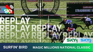 SURFIN BIRD WINS THE MAGIC MILLIONS NATIONAL CLASSIC