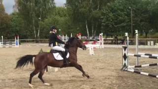 Kretsmestere 2016, Carina Og Ariel