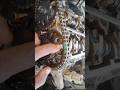 How to✅ fix timing Chain mark Of C.