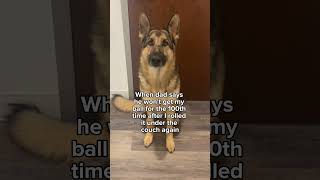 Life Is Ruff Sometimes