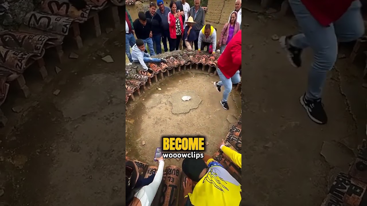 Rabbit Decides Winner 🐇