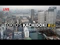 Tokyo’s Kachidoki Bridge and Neighborhood | Insider View