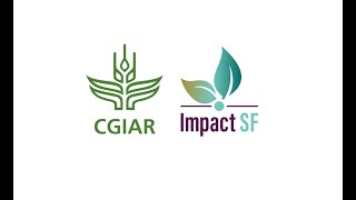 Cgiar Hub For Sustainable Finance Impactsf