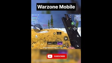 Warzone Mobile Peak Graphic Execution