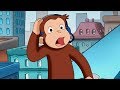 Curious George 🐵 Hamster Cam 🐵Full Episode🐵 HD 🐵 Videos For Kids