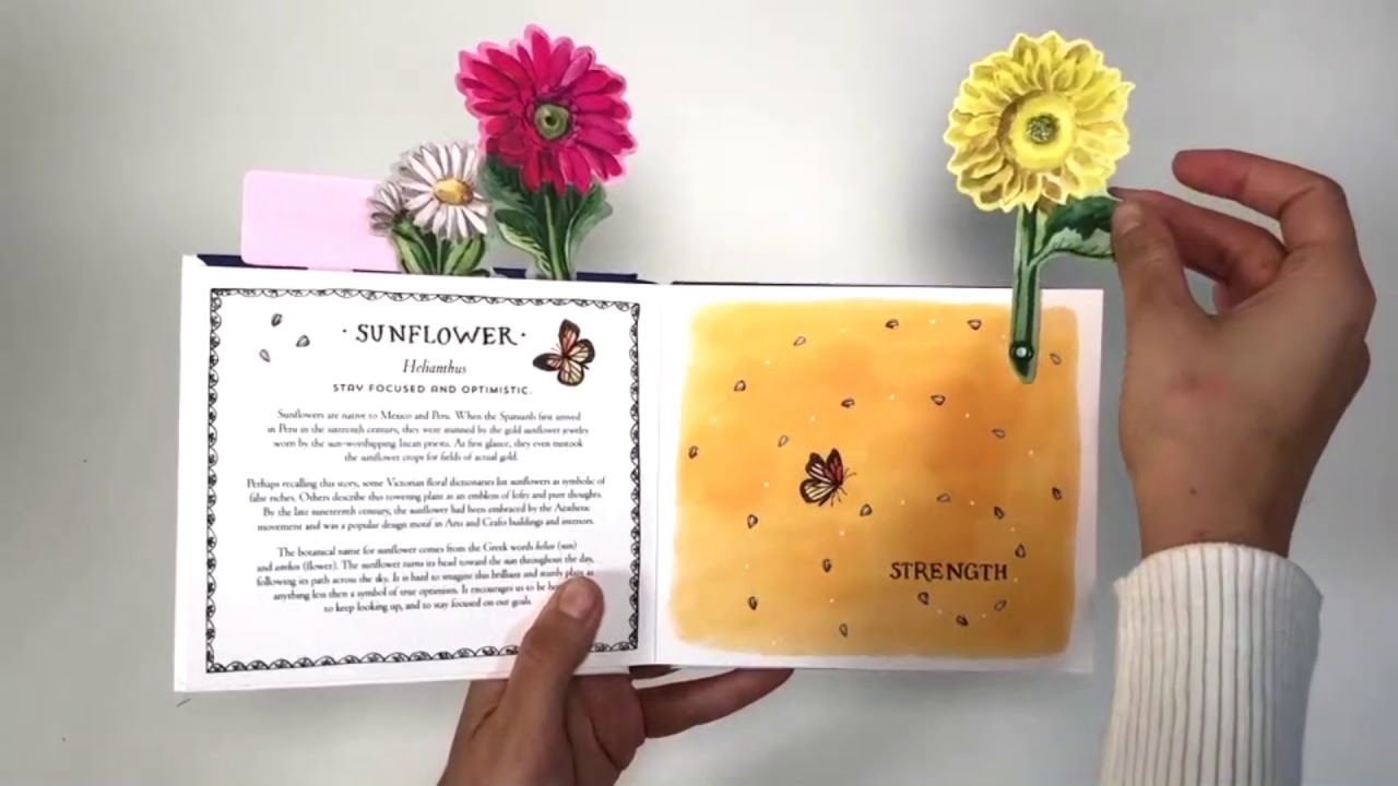 HAPPY DAY (UPLIFTING EDITIONS) A BOUQUET IN A BOOK By Molly Hatch