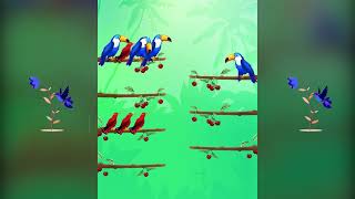 Bird Sort 70 (16-9)