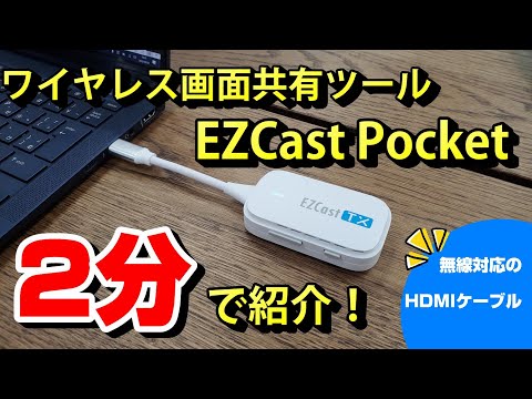 動画