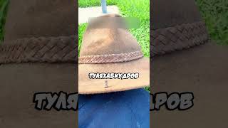 Необычный жучок😄 #история #shorts