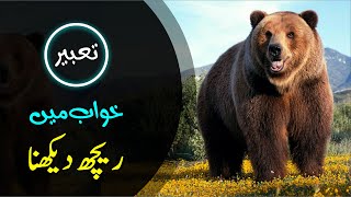 khwab mein reech dekhna | rech ki tabeer | reechh ki tabeer | bear in dream | khwabon ki tabeer