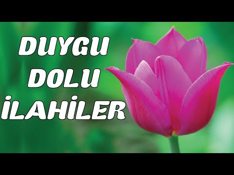 ADEM PALA'DAN DUYGU YÜKLÜ İLAHİLER / Hareketli İlahi Dinle