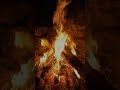 Flame Aesthetic 11 | Hypnotic Fire Visual 🔥| Relaxing Loop #shorts #fire #ambient #relaxingmusic