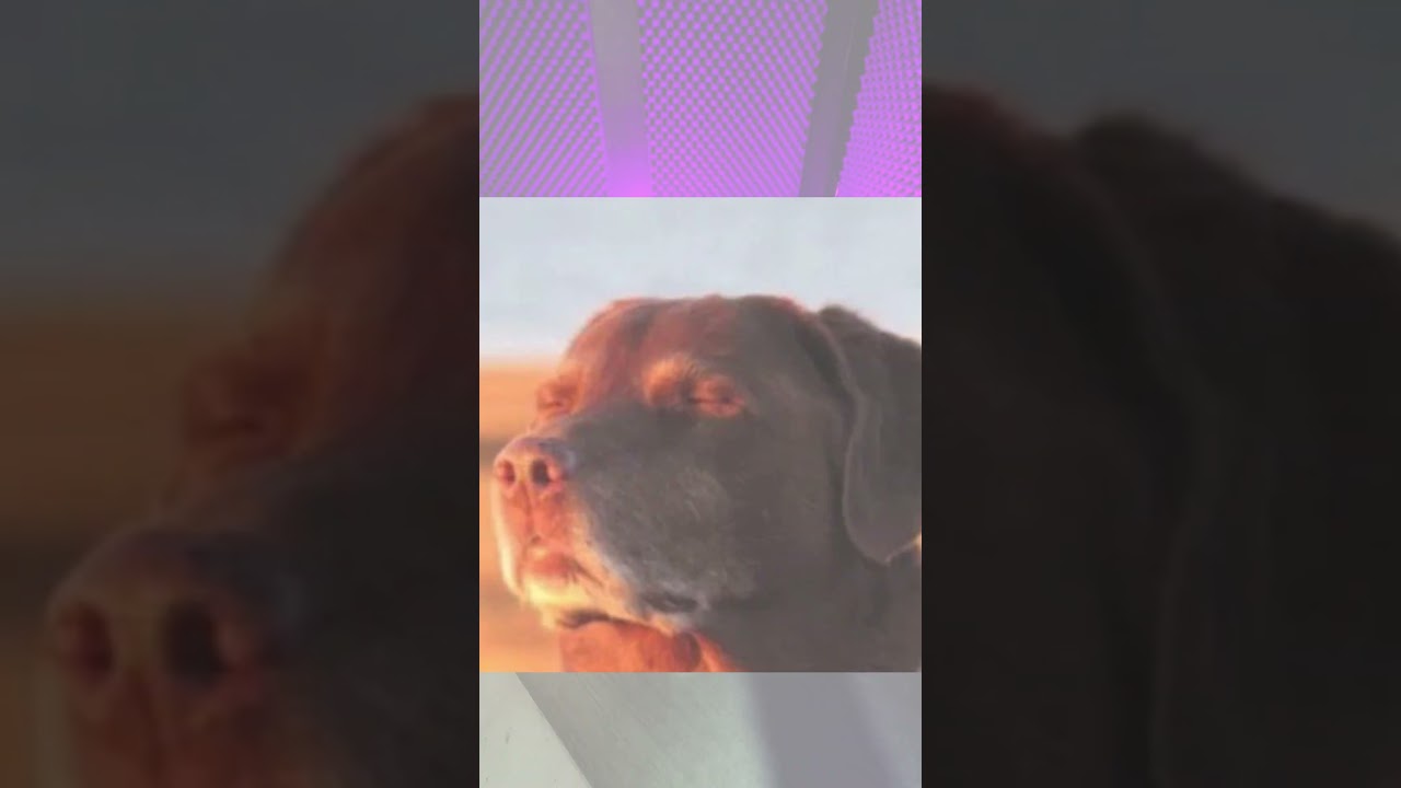 Mejor utiliza nuestro servicio de ensamble para que tu PC este al fallo. 