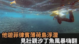 海洋奇景！他遊菲律賓薄荷島玩浮潛　見「沙丁魚風暴」嗨喊：太震撼－民視新聞