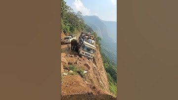Terrifying Elephant Attack on Tourist Bus Near Cliff Edge! | AI-Generated
