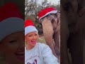 Just an elephant walking her pet camel 😂 #Elephant #Camel #Animal ￼