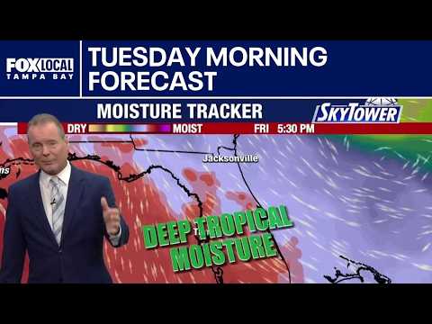 Tampa weather | Tuesday morning forecast