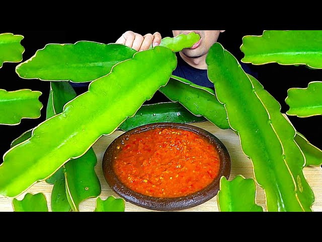 MAKAN KAKTUS 🌵 POHON BUAH NAGA || ASMR MUKBANG