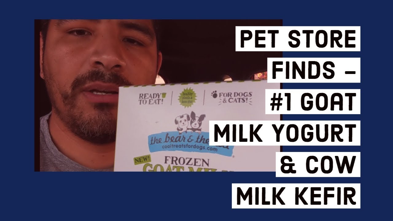 cow milk kefir for dogs