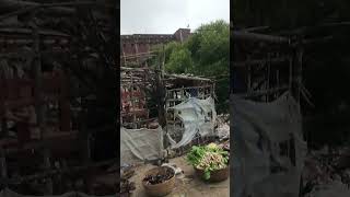 kal 5 ka Masum #nonsubscriber