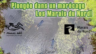 Plongée dans un marécage - Les Marais du Nord!