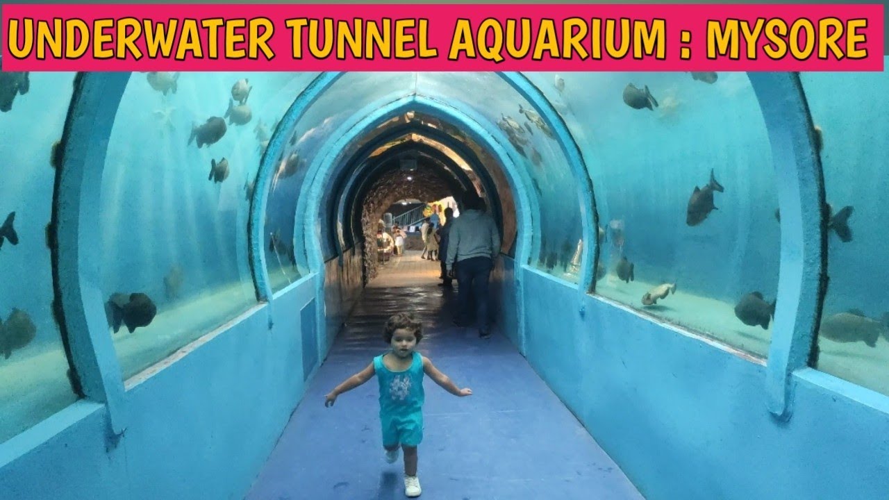 Underwater tunnel aquarium Mysore Karnataka's first underwater aquarium Chinnu loved the