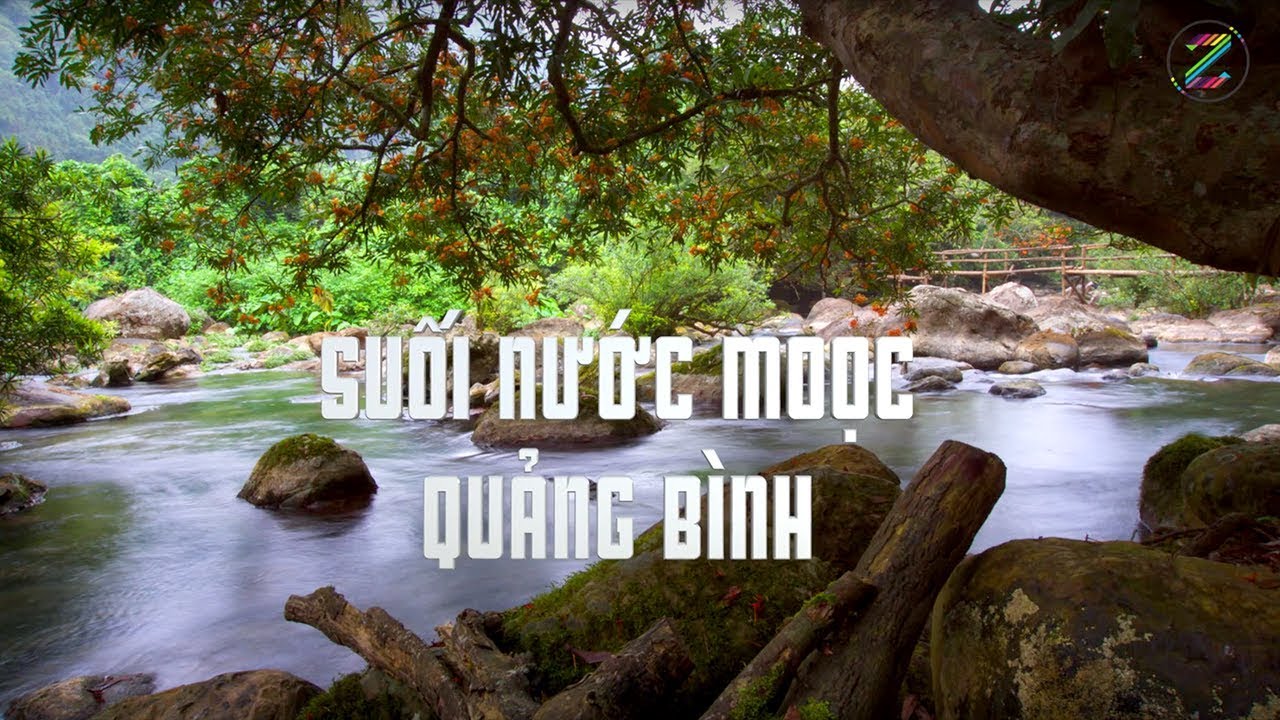 suoi mooc quang binh 2022 Suối nước Moọc Bố Trạch Quảng Bình mùa hoa Vàng Anh nở | ZaiTri