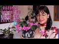 Razones por las que no florecen los cactus│Candy Bu