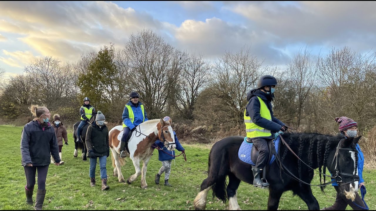 Park Lane Stables saved by huge community effort YouTube