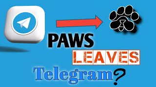 PAWS Exits Telegram? And Here is The Reason || How to Save Your Coins || New Update