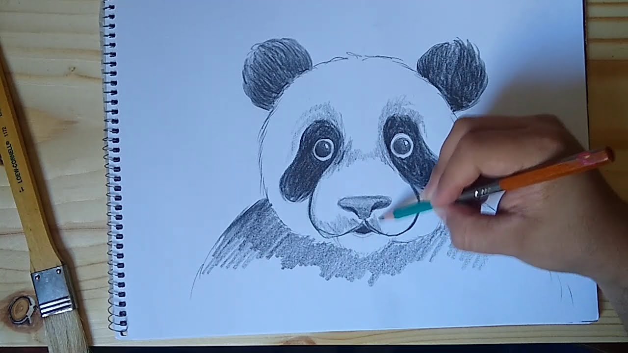 Cómo dibujar un PANDA muy fácil y realista - thptnganamst.edu.vn
