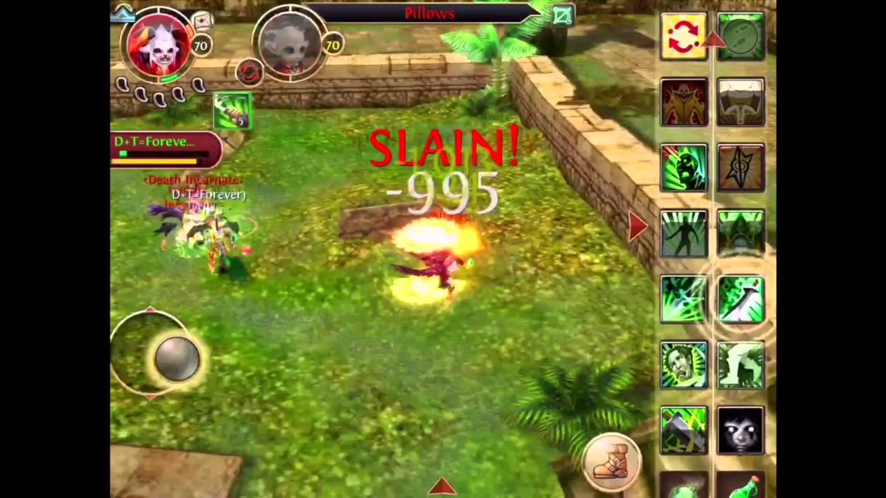 Order and Chaos: w/pvp assassin