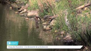 Equilibres – La biodiversité à nos pieds