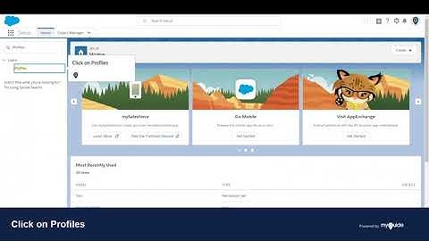 How to Manage Standard Object Permissions in Profile in Salesforce Lightning