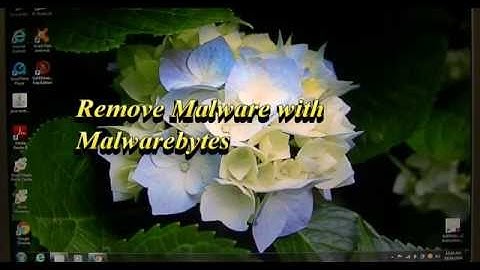 Remove Viruses With Malwarebytes Free