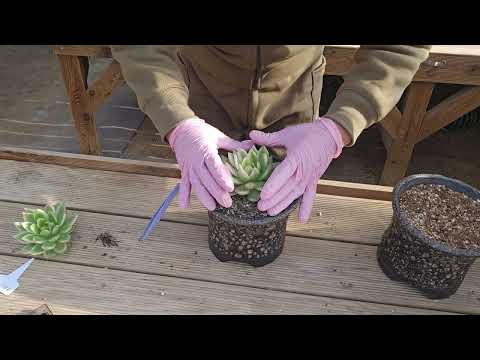 짬!!또!!길다