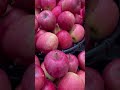 Fuji APPLE…# delicious # Japan Apple 🍎