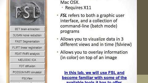 Lab3 IntroToImageAnalysis
