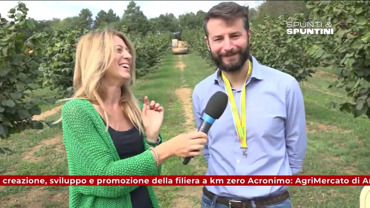 Spunti&Spuntini - Ottobre, in Casentino è tempo di raccolta delle nocciole