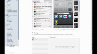 iTunes 9.2 Walkthrough